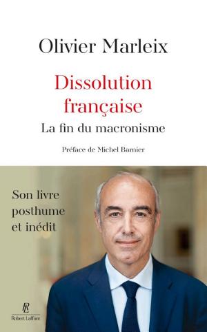 Dissolution française, la fin du macronisme