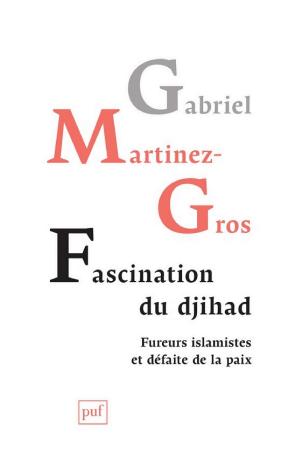Fascination du djihad : Fureurs islamistes et défaite de la paix