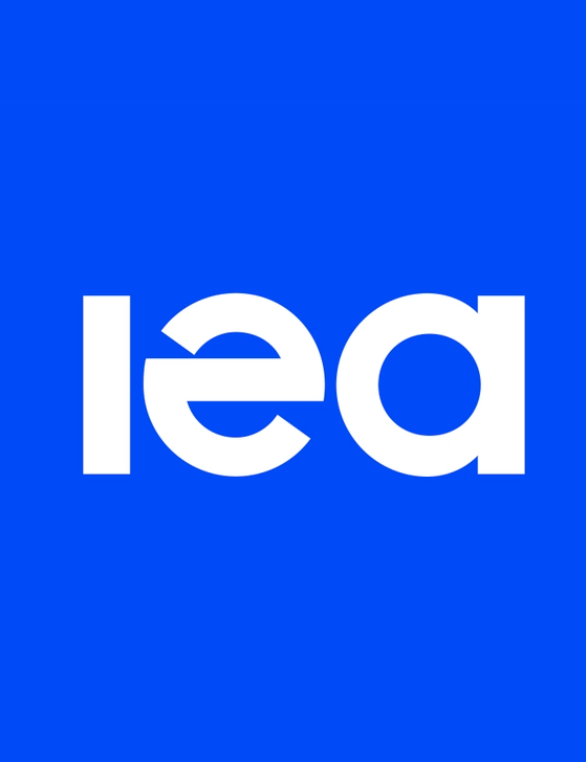 https://www.iea.org/