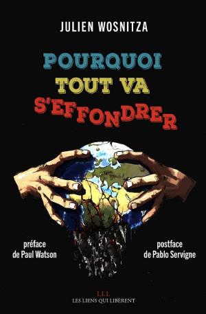 Pourquoi tout va s'effondrer