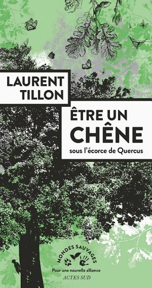 Être un chêne : sous l'écorce de Quercus