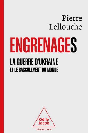 L'Ukraine et le basculement du monde