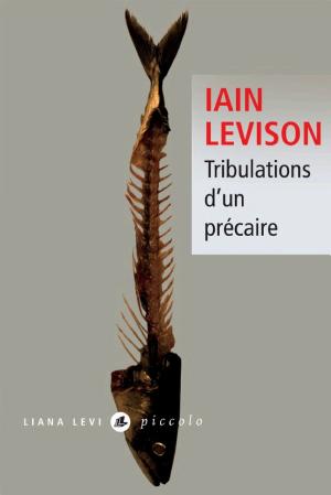 Tribulations d'un précaire